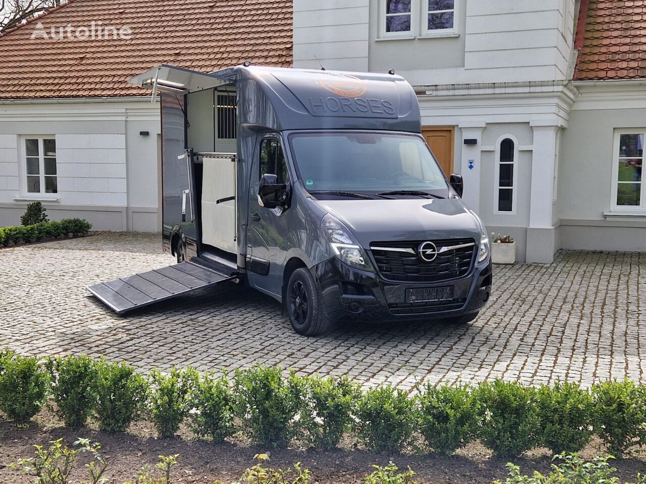 Opel Movano 馬の輸送