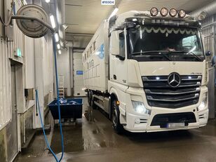 Mercedes-Benz 2013 Mercedes Actros Animal transport truck w/ lift 家畜運搬車